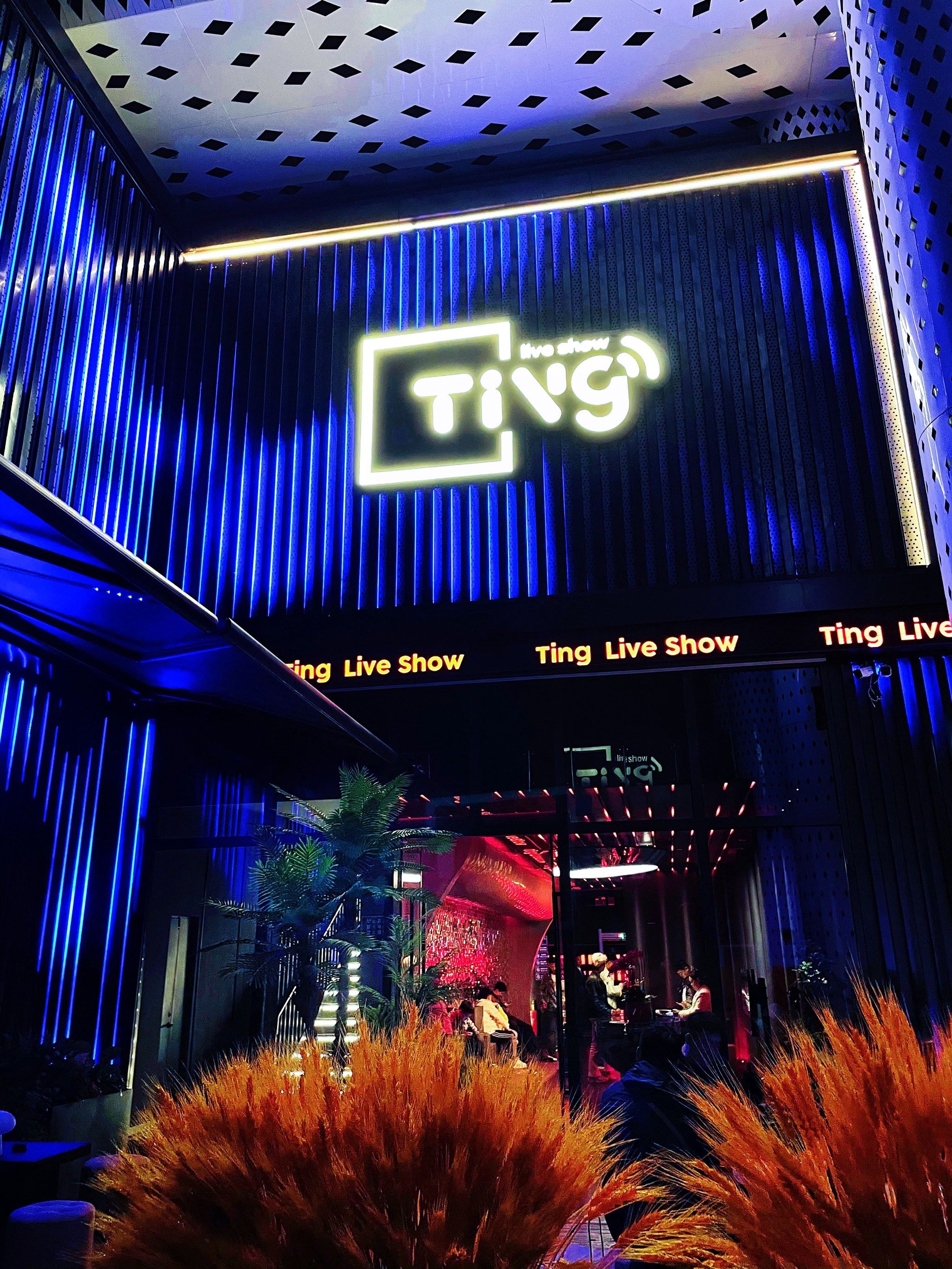 商务ktv是什么样的地方-衡东县ktv预订